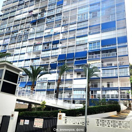 Apartment Alcalde Manuel Catalan Luxury Benidorm Eksteriør bilde